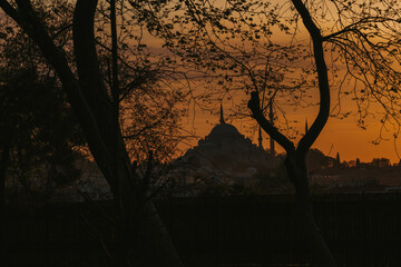 Suleymaniye mosque silhouette at sunset with orange sky and dark trees