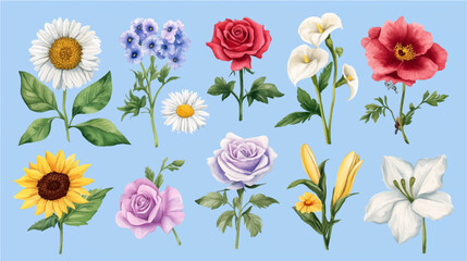 Vector illustration of set of watercolor flowers paintings, floral vintage. 