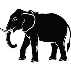 Solemn elephant advances with striking monochrome contrasts to showcase its majestic form against white