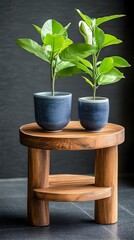 Plants in pots on wooden table, dark background, home decor