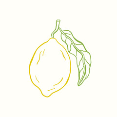 Doodle sketch illustration of lemon. Citrus tropical fruit