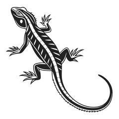 The black reptile displays a curved tail, patterned body, and sharp claws