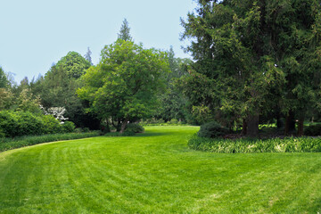 Lush green grassy area surrounded by trees on sunny day