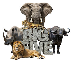 The African Big Five animals: elephant, lion, leopard, rhinoceros, and buffalo standing around big stone letters