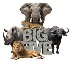 The African Big Five animals: elephant, lion, leopard, rhinoceros, and buffalo standing around big stone letters