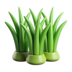 3D illustration of green plants in pots isolated on Transparent Background