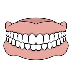 入れ歯のイラスト