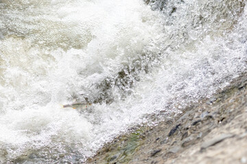 Dynamic close-up of white water splashing over rocks in a fast mountain stream. Natural energy and...