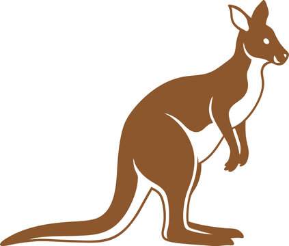 kangaroo vector