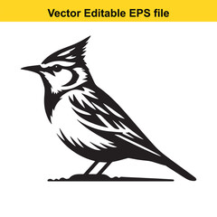 A black and white vector illustration of a bird, possibly a lark, in a side profile view.