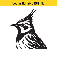 A striking black and white illustration of a crested lark bird profile