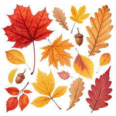 Autumn Harvest Leaf Overlays and Textures Fall Design Pack