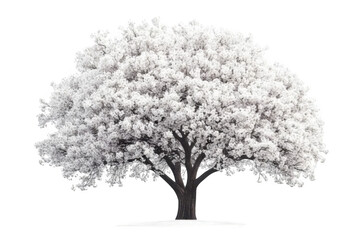 Winter Tree Flourishes with its Snowy Crown, with Tree Silhouette Theme.
