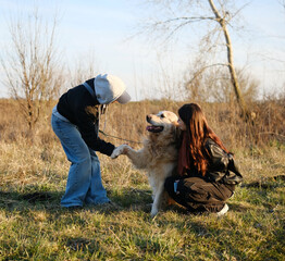 Girls Outdoors Asking Adorable Golden Retriever Dog To Give A Paw