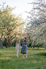 Naklejka premium A mother and daughter are walking through a blooming apple orchard. they talk to each other. Concepts of family, mother and child, modern parenting.