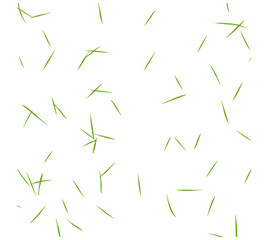 architectural ground base, grass cad pattern, vector illustration, landscaping top view, garden surface texture, nature terrain layout, urban plan element, cutout, exterior map.