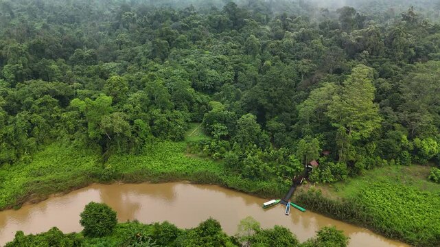 Flying over amazon rainforest reveals a pristine river and lush canopy