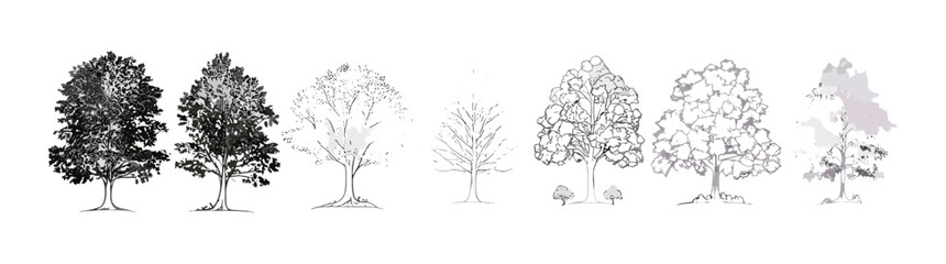 Minimal style cad tree line drawing, tropical side view, outline elements set for architecture, landscape design, tree graphics, vector illustration, stroke fill, building exterior.