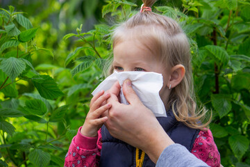 Father helps little girl wipe snot from her nose due to spring allergies