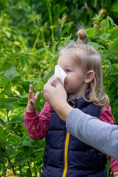 Father helps little girl wipe snot from her nose due to spring allergies
