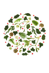 Winter Christmas nature flora round shape decoration, holly berries. Natural design concept for...