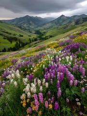 Fototapeta premium the image displays a lush meadow filled with a variety of wildflowers, predominantly in shades of purple, white, and yellow