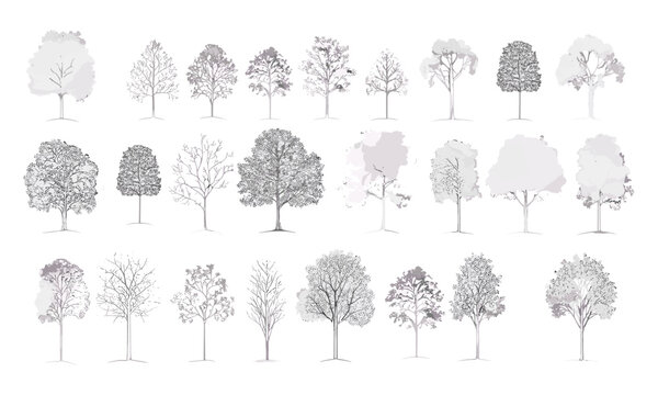 Minimal tree line vector illustration, architectural drawing style, cad element for landscaping, white stroke, foliage symbol, nature blueprint, background pattern, garden sketch.