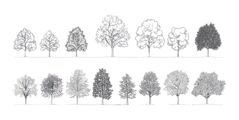 Minimal style tree line drawing, architecture and landscape design element, cad outline trees set, vector illustration, white stroke fill, pattern background, foliage, botanical.