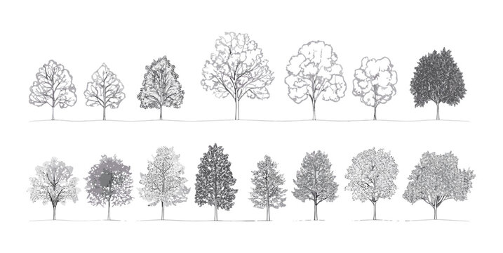 Minimal style tree line drawing, architecture and landscape design element, cad outline trees set, vector illustration, white stroke fill, pattern background, foliage, botanical.