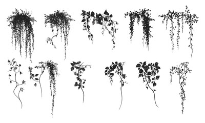 Silhouette vines set, tropical trees outline, side view landscape drawing, garden elements for architecture, vector illustration, botanic icon, green nature, transparent background. © aura studio