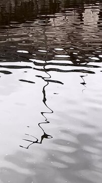 Calm Water Reflection &ndash; Peaceful Surface Movement for Background Use