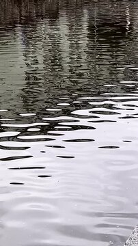 Calm Water Reflection &ndash; Peaceful Surface Movement for Background Use