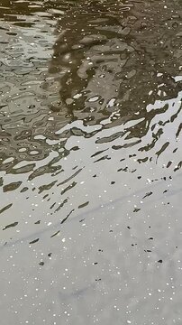 Calm Water Reflection &ndash; Peaceful Surface Movement for Background Use