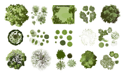 Tree top view, garden vector illustration, nature layout, isolated foliage, white background, architectural plan, landscape cad, plant top view, outdoor design, green environment, cutout. © aura studio