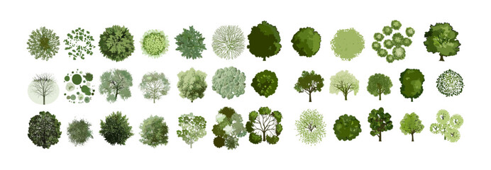 Tree top view, landscape layout, vector illustration, garden elements, architecture drawing, cad foliage, nature, environment, white background, cutout, greenery, aerial plant view. © aura studio