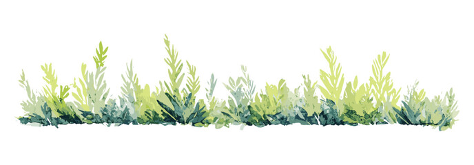 Vector illustration of watercolor bush grass bander, side view for architecture plan, landscape section, garden design, elevation drawing, foliage layout, transparent background.