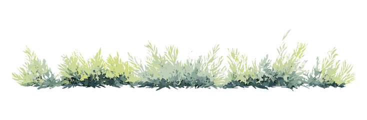 Botanical watercolor bush grass bander in side view, vector illustration for landscape plan, architecture layout, elevation section, garden element, environment, cutout.