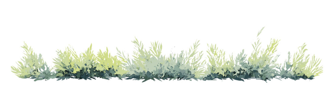 Botanical watercolor bush grass bander in side view, vector illustration for landscape plan, architecture layout, elevation section, garden element, environment, cutout.