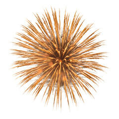 Golden fireworks burst isolated on transparent background