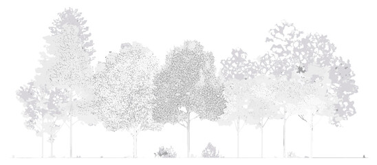 Cad tree line drawing in minimal style, landscape design plan with wetland forest section, architectural side view. Vector illustration, vegetation, mapping, construction. © aura studio