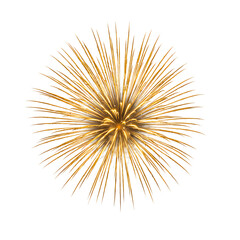 Golden fireworks burst isolated on transparent background