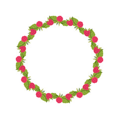 Summer floral wreath with raspberry and their foliage. Round frame of pink berries and leaves. Decoration element for cards and seasonal decor. Vector flat illustration.