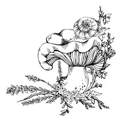 Russula webcap mushroom, snail on top, moss lichen growth, heather flowers. Nature composition hand drawn in vector ink. Forest floor habitat scene. Mycology book illustrations, calendar poster art
