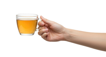 Isolated Hand Holding Glass of Tea