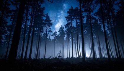 Rêver d'être dans les bois la nuit