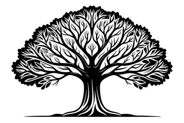 Continuous line drawing of a large tree isolated on transparent background