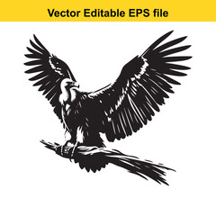 Majestic Andean Condor in Flight: A Black and White Vector Illustration