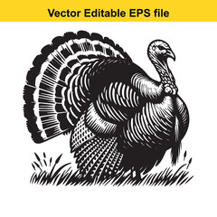 A majestic turkey in a black and white woodcut style, standing proudly in a grassy field © MdZulhash