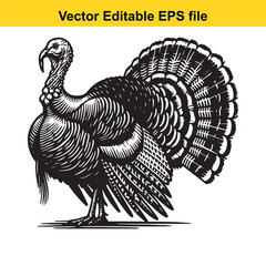 A majestic wild turkey with detailed feathers and intricate design in black and white, perfect for Thanksgiving or hunting themes.