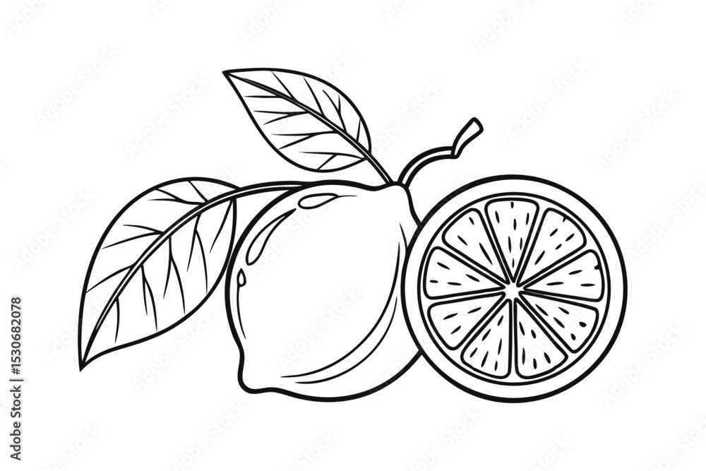 Poster Continuous line drawing of whole and halved lemons isolated on transparent background